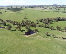 Rural / Farming commercial property for sale at Yass NSW 2582