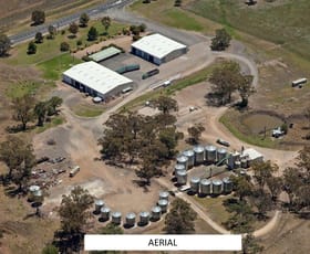 Rural / Farming commercial property for sale at 8286 New England Highway Willow Tree NSW 2339