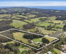 Rural / Farming commercial property sold at 1208 Mornington-Flinders Road Main Ridge VIC 3928