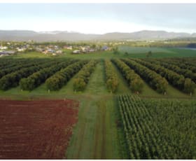 Rural / Farming commercial property for sale at 43-139 Tinaroo Falls Dam Road Atherton QLD 4883