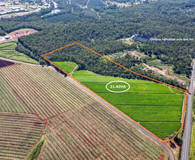 Rural / Farming commercial property for sale at 417 Kevin Livingston Drive Isis Central QLD 4660