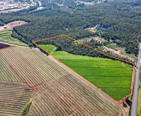 Rural / Farming commercial property for sale at 417 Kevin Livingston Drive Isis Central QLD 4660