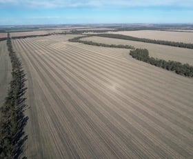 Rural / Farming commercial property for sale at Terlings and Dundeno Newell Highway Moree NSW 2400