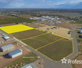 Development / Land commercial property sold at 22 Modica Crescent Buronga NSW 2739