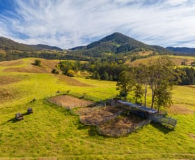 Rural / Farming commercial property sold at 4441 Nowendoc Road Number One NSW 2424
