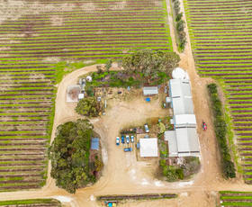 Rural / Farming commercial property sold at Angas Plains SA 5255