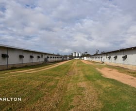 Rural / Farming commercial property for sale at Contact Agent Lane Yerrinbool NSW 2575