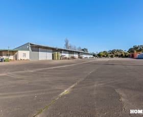 Factory, Warehouse & Industrial commercial property for sale at 104 Moppa Road South Nuriootpa SA 5355
