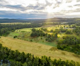 Rural / Farming commercial property sold at 822 Gilston Road Gilston QLD 4211