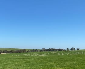 Rural / Farming commercial property sold at Ivanhoe Little Plains Road Boorowa NSW 2586