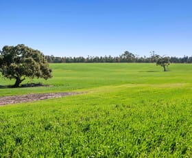 Rural / Farming commercial property for sale at 1412 Bannockburn-Shelford Road Teesdale VIC 3328