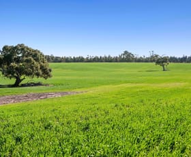 Development / Land commercial property for sale at 1412 Bannockburn-Shelford Road Teesdale VIC 3328