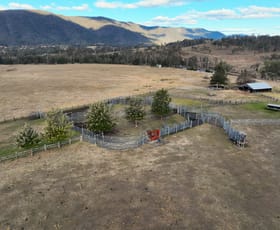 Rural / Farming commercial property for sale at OLD GLEN INNES ROAD Newton Boyd NSW 2370