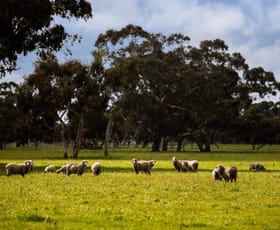 Rural / Farming commercial property for sale at 871 Fairview Road Woolumbool SA 5272