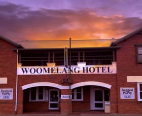 Hotel, Motel, Pub & Leisure commercial property for sale at 57 Brook St Woomelang VIC 3485