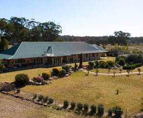 Rural / Farming commercial property for sale at Robert Channon Wines 32 Bradley Lane Stanthorpe QLD 4380