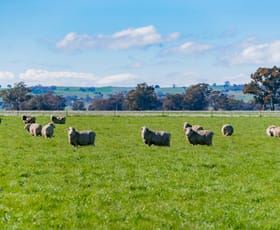 Rural / Farming commercial property for sale at 6 Dudauman Road Stockinbingal NSW 2725