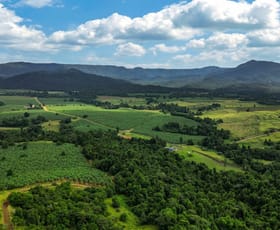 Rural / Farming commercial property sold at 1020 Pullom Road Nerada QLD 4860