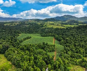 Rural / Farming commercial property sold at 1020 Pullom Road Nerada QLD 4860