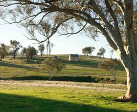 Rural / Farming commercial property for sale at Yarra, Hughstonia Road Binalong NSW 2584