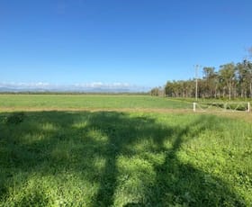 Rural / Farming commercial property sold at Ausgold Hay Webb Road Majors Creek QLD 4816