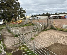 Rural / Farming commercial property for sale at 29-33 Wetherell Street Manjimup WA 6258
