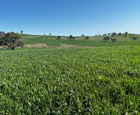 Rural / Farming commercial property sold at Littlebrook 1095 Highbank Lane Berthong NSW 2594