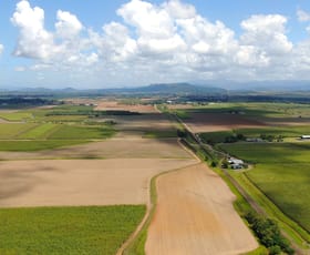 Rural / Farming commercial property for sale at 41 Douglas Road Mundoo QLD 4860