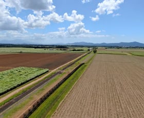 Rural / Farming commercial property for sale at 41 Douglas Road Mundoo QLD 4860