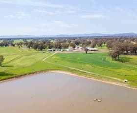 Rural / Farming commercial property for sale at 1350 Geodetic Road Euroa VIC 3666
