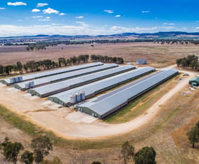 Rural / Farming commercial property for sale at 593 Appleby Lane Appleby NSW 2340