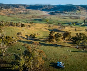 Rural / Farming commercial property for sale at 2042 Rocky Plain Road Rocky Plain NSW 2628