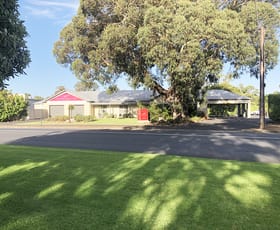 Hotel, Motel, Pub & Leisure commercial property for sale at Penola SA 5277