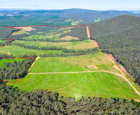 Rural / Farming commercial property for sale at - Jingellic Road Lankeys Creek NSW 2644