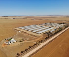 Rural / Farming commercial property for sale at 432 Wheat Road Beaufort SA 5550