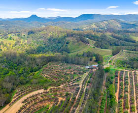 Development / Land commercial property sold at 136 Top Forestry Road Cooroy QLD 4563
