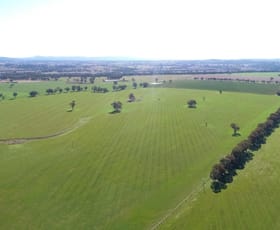 Rural / Farming commercial property sold at 908 Rocky Ponds Road Baldry NSW 2867