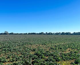 Rural / Farming commercial property sold at 908 Rocky Ponds Road Baldry NSW 2867