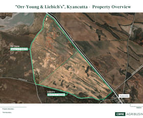 Rural / Farming commercial property for sale at Lot 10 Simpson Road Kyancutta SA 5651