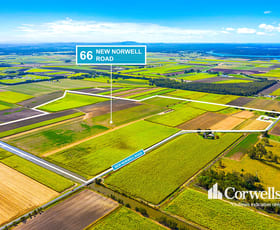 Development / Land commercial property for sale at 66 New Norwell Road Woongoolba QLD 4207