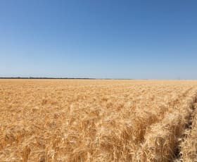 Rural / Farming commercial property sold at Back Creek NSW 2671