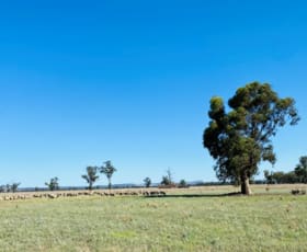 Rural / Farming commercial property for sale at 26 Forest Lodge Lane Grenfell NSW 2810