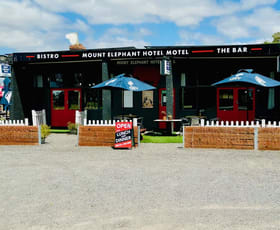 Hotel, Motel, Pub & Leisure commercial property for sale at 1 Main Street Derrinallum VIC 3325