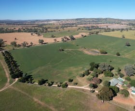 Rural / Farming commercial property for sale at 814 Bennett Springs Road Cowra NSW 2794