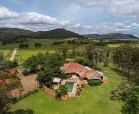 Rural / Farming commercial property for sale at Sandy Hollow NSW 2333