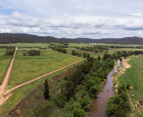 Rural / Farming commercial property for sale at Sandy Hollow NSW 2333