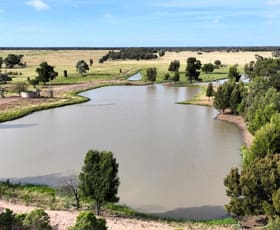 Rural / Farming commercial property sold at 0 Dennes Road Meandarra QLD 4422