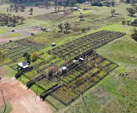 Rural / Farming commercial property sold at 16 - 25 Saleyards Road Walcha NSW 2354