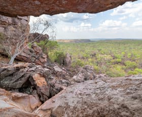 Rural / Farming commercial property for sale at 1390 Dorat Road Adelaide River NT 0846