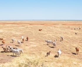 Rural / Farming commercial property for sale at Yeeda / Mt Jowlaenga & Kimberley Meat Company Derby WA 6728